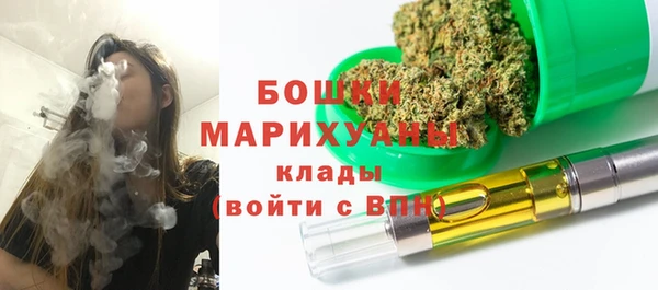СК Алексин