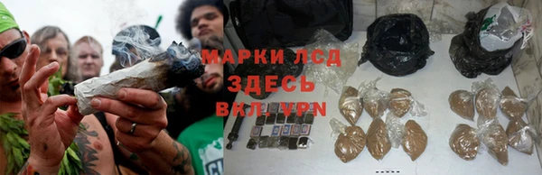 круглые Алзамай