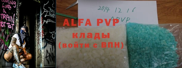 СК Алексин